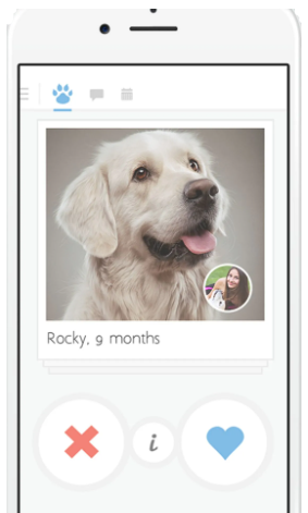 iphone-mockup